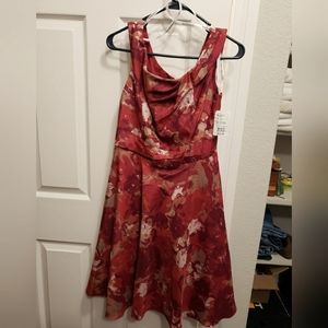 Wedding or Holiday dress